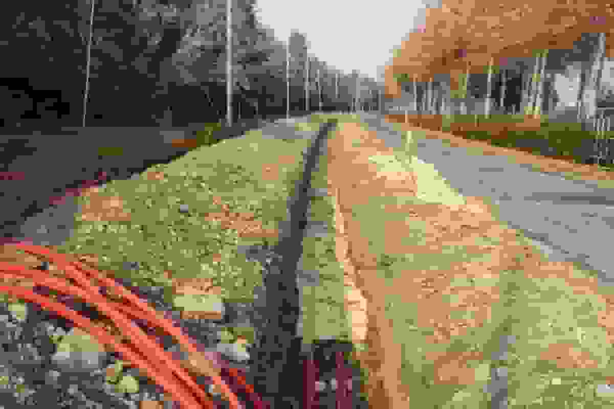 نفس تازه به ورزشگاه آزادی پس از ۵۶ سال