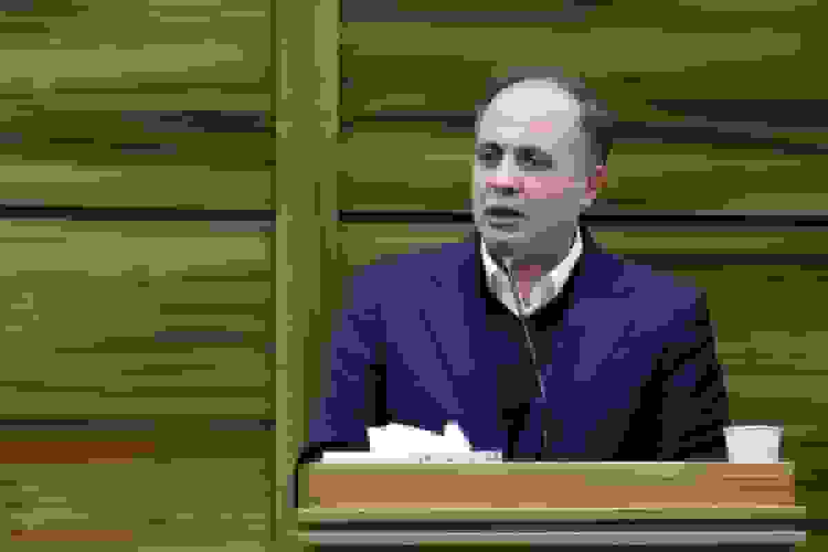 نوری قزلجه: ارز نهاده‌های دامی تأمین شد