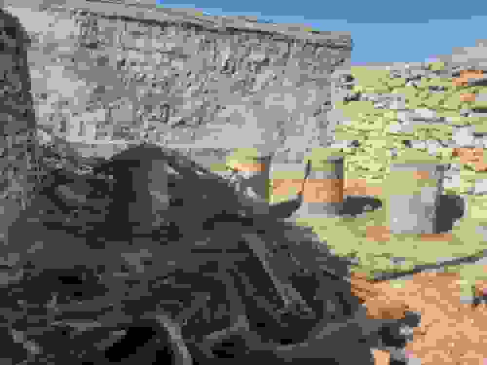 کشف و امحای ۹ کوره زغالگیری در بویراحمد / سه متخلف شناسایی شدند