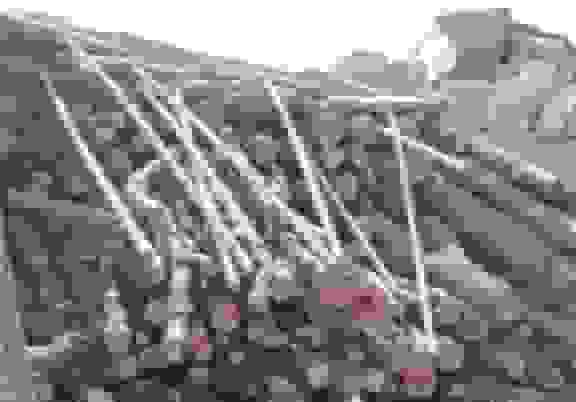 توقیف کامیون حامل ۱۰ تن هیزم قاچاق در شهرستان دنا