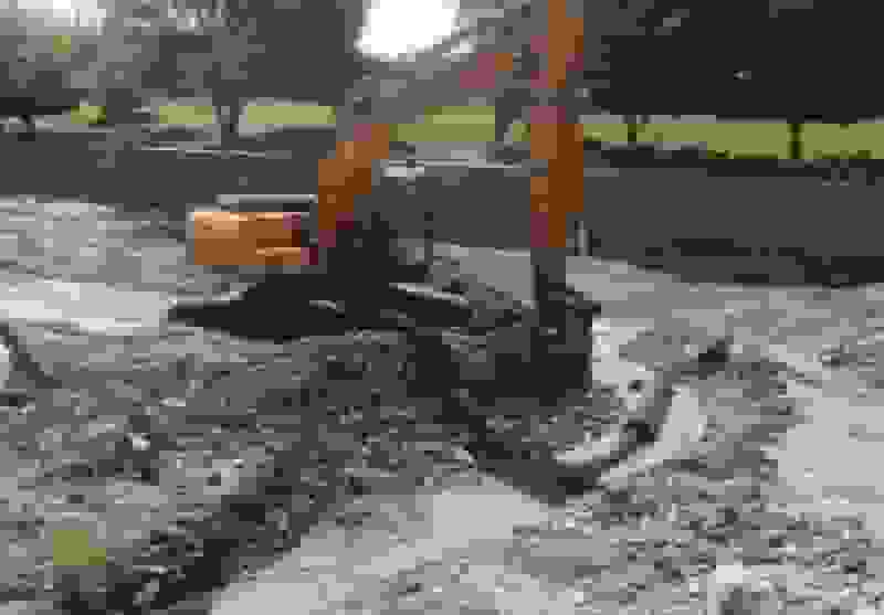 رفع تصرف ۴۶ هکتار از حریم و بستر رودخانه‌های مشهد