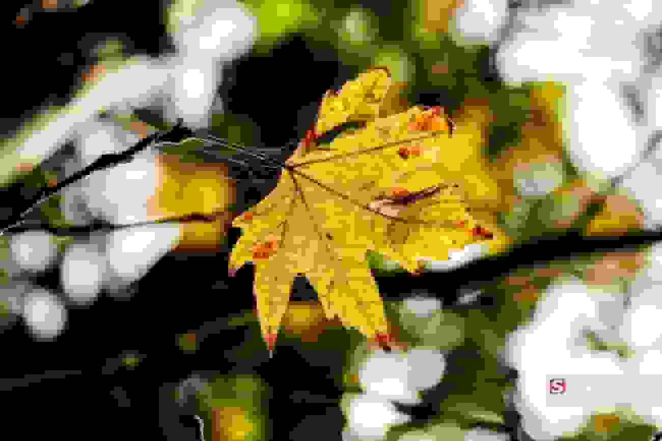 کاهش دما تا ۱۰ درجه در شمال کشور