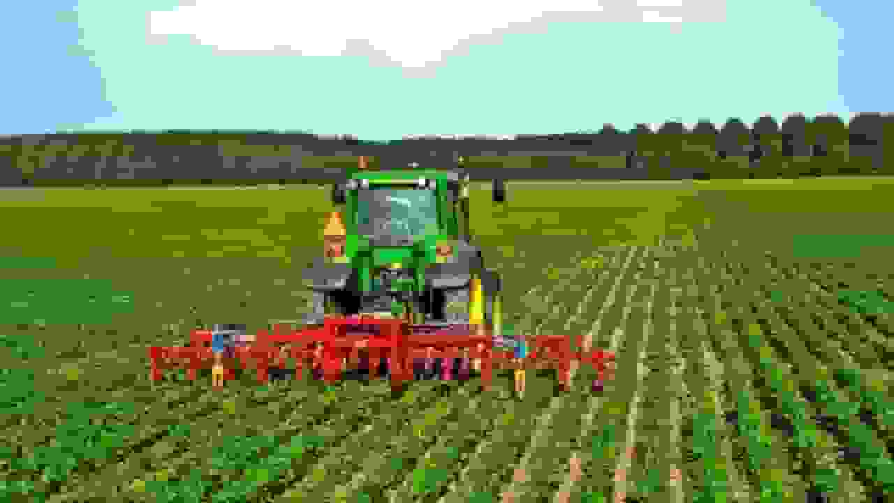 آغاز کشت محصولات پاییزه در باشت با زیر کشت رفتن ۱۵ هزار هکتار اراضی