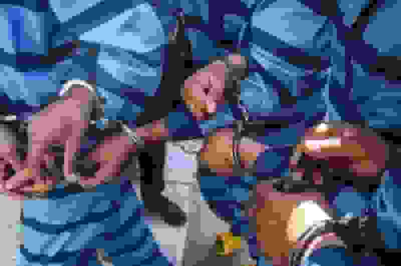 اعضای باند سارقان در شهرکرد دستگیر شدند