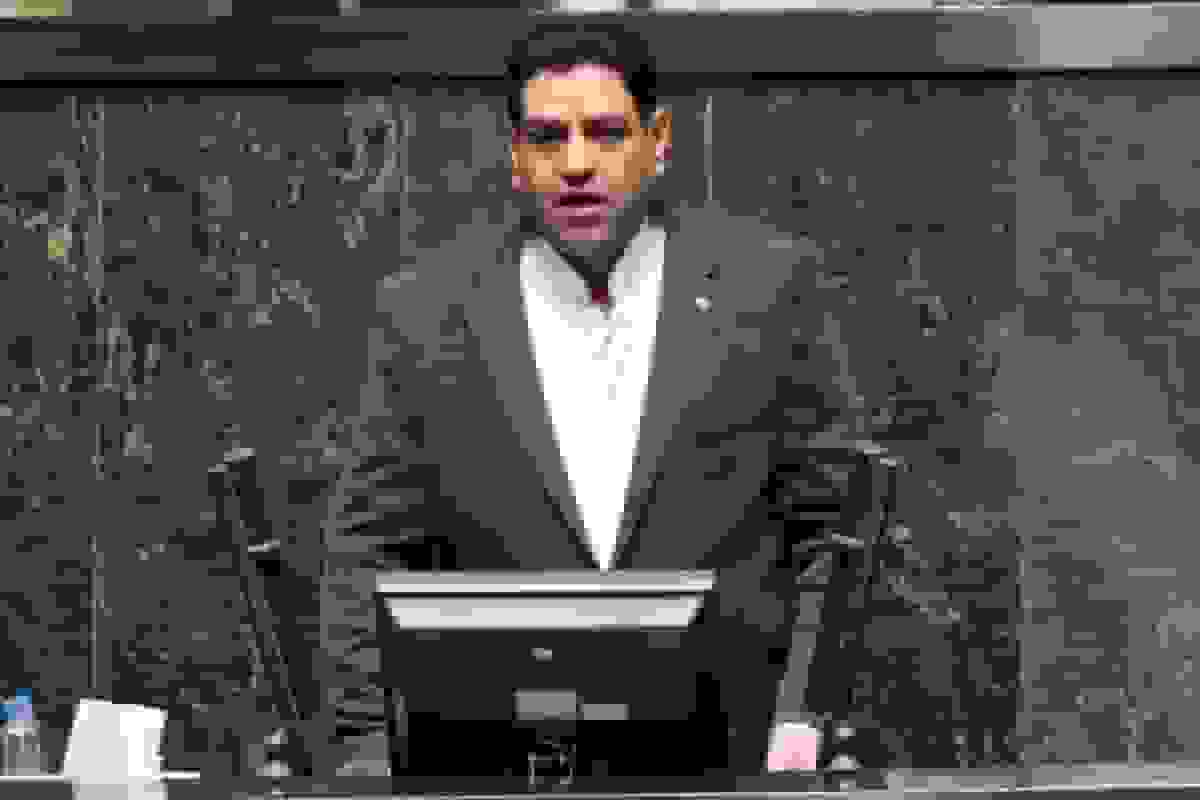 بیگدلی: دلیل توقف استیضاح وزیر جهادکشاورزی چیست؟