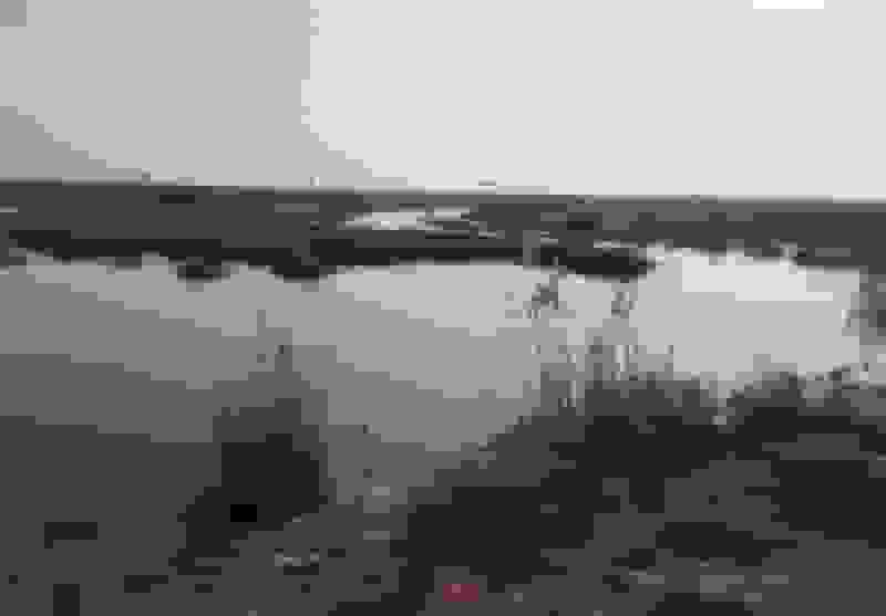 احیای تالابها نیازمند هماهنگی دستگاهها