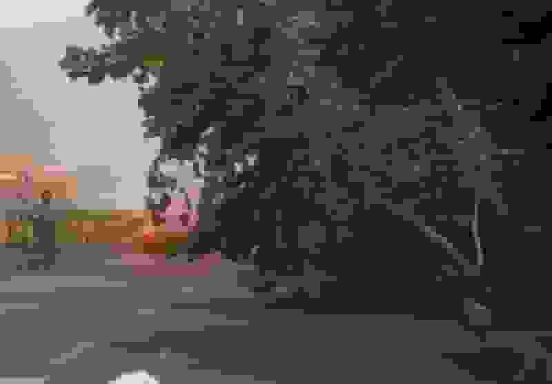 افزایش وزش باد در نوار شرقی و مرکز کشور