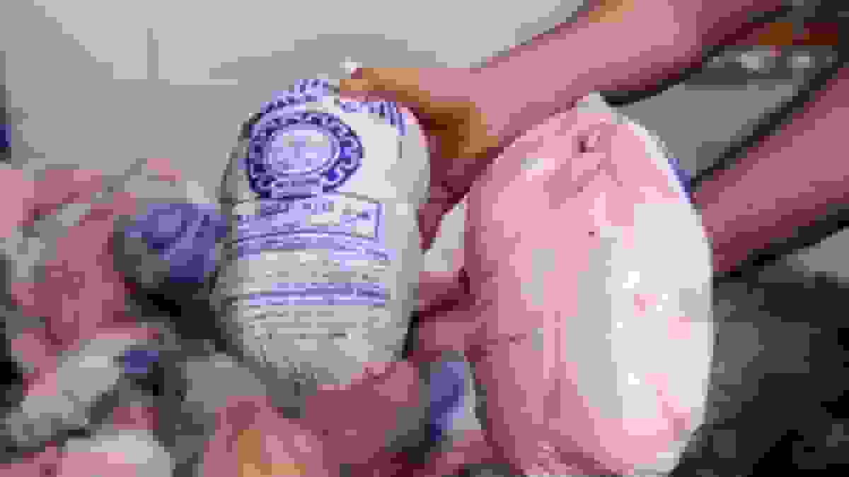 توزیع روزانه ۸۵۰۰ تن مرغ در سطح کشور