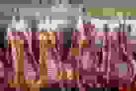 خراسان رضوی، رتبه اول تولید گوشت قرمز در ایران