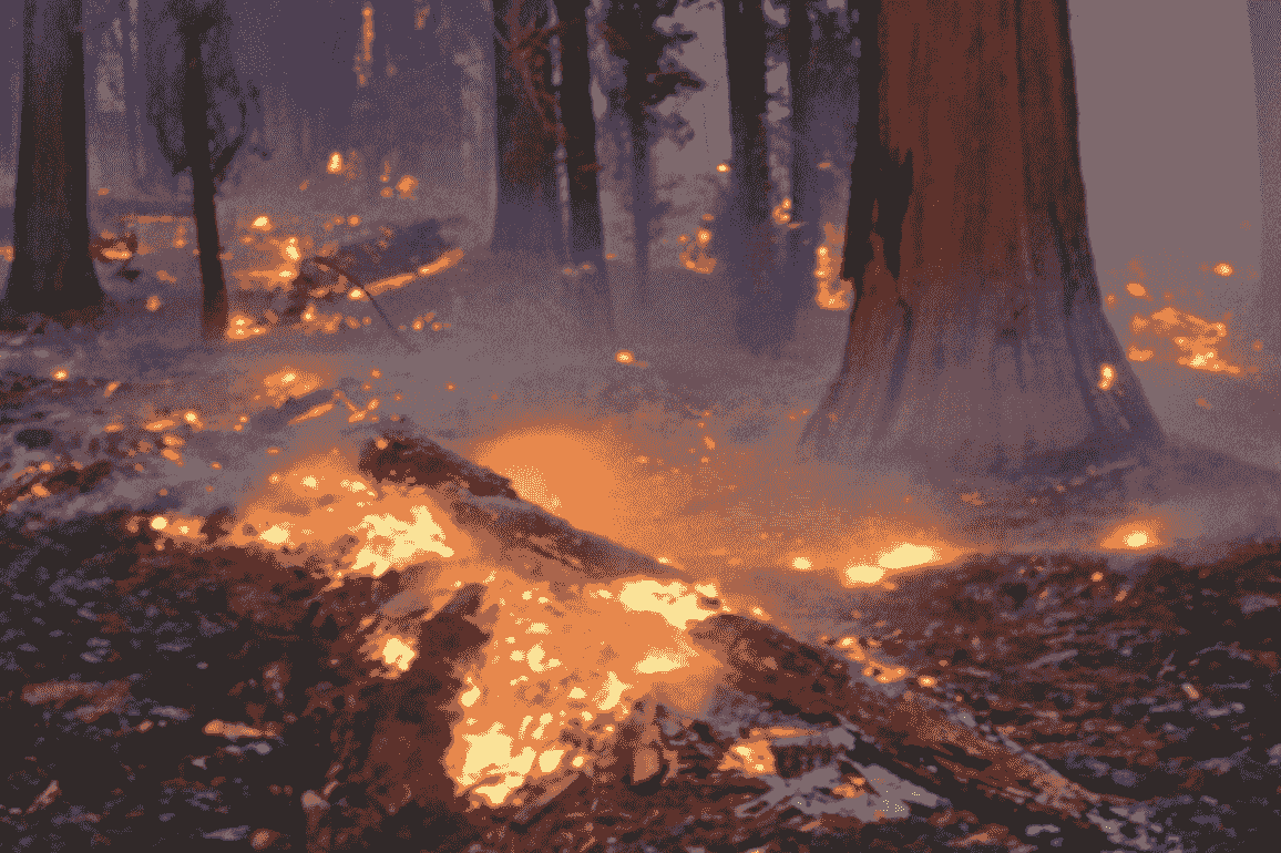 آتش‌سوزی در جنگل‌های چهاردانگه ساری و سیکای نکا