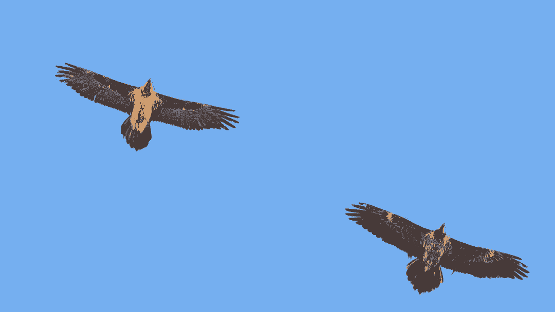 نماد خوش‌اقبالی بر فراز آسمان فریدونشهر اصفهان