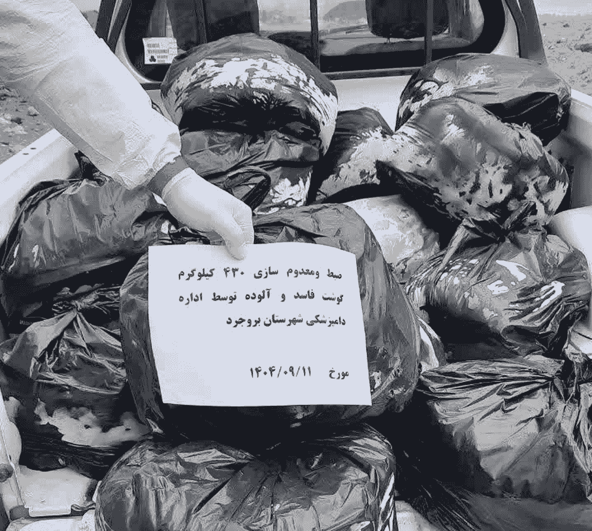 معدوم‌سازی ۵۰۰ کیلوگرم گوشت حیوان تک‌سم در بروجرد