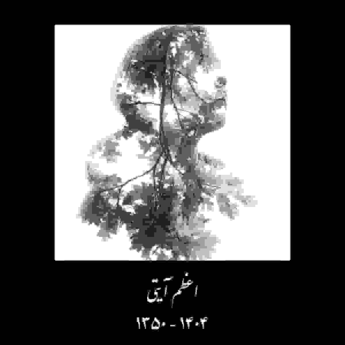 اعظم آیتی نویسنده و منتقد درگذشت