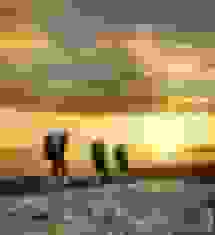 عملیات امدادگران به نتیجه رسید: مفقود شدگان ارتفاعات دهملا شاهرود پیدا شدند