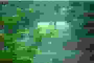 بارش باران در سواحل دریای خزر