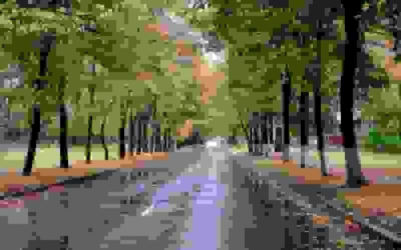 بارش باران در مناطق مختلف گیلان