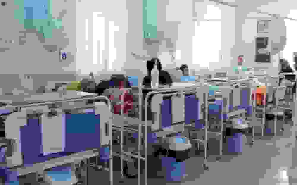 افزایش بستری‌های آنفلوانزا در کهگیلویه و بویراحمد