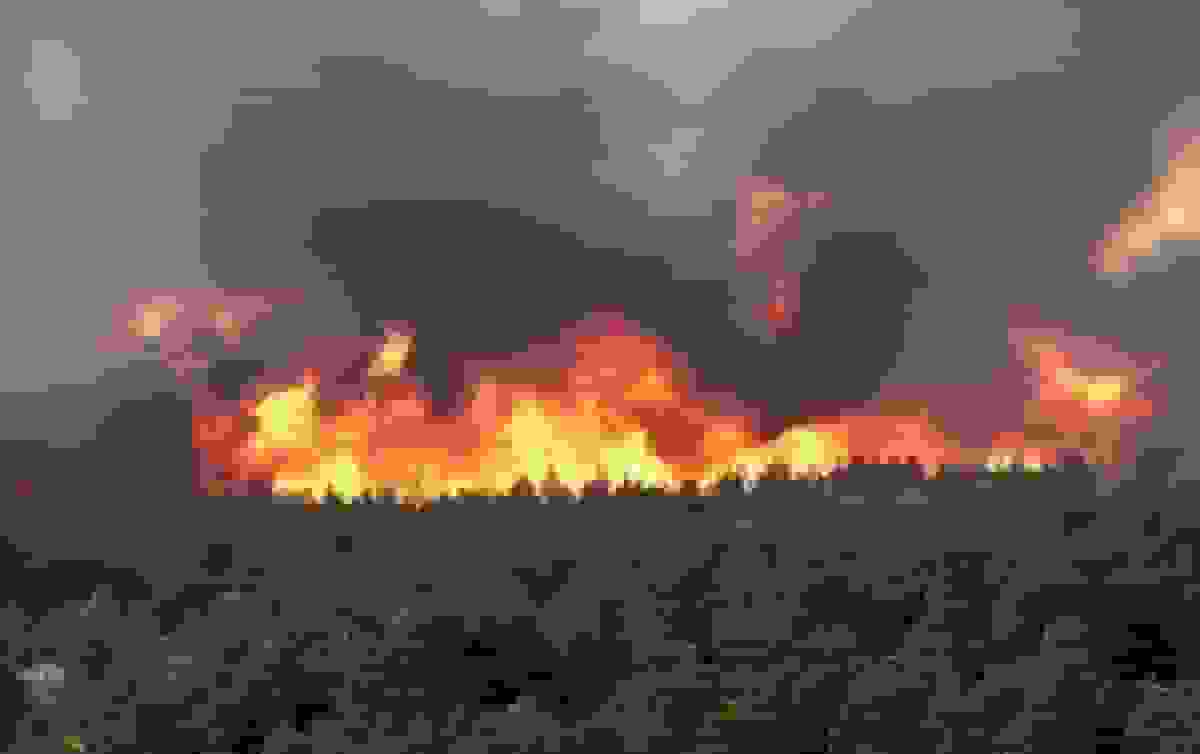 آخرین وضعیت اطفای حریق در جنگل‌های هیرکانی الیت