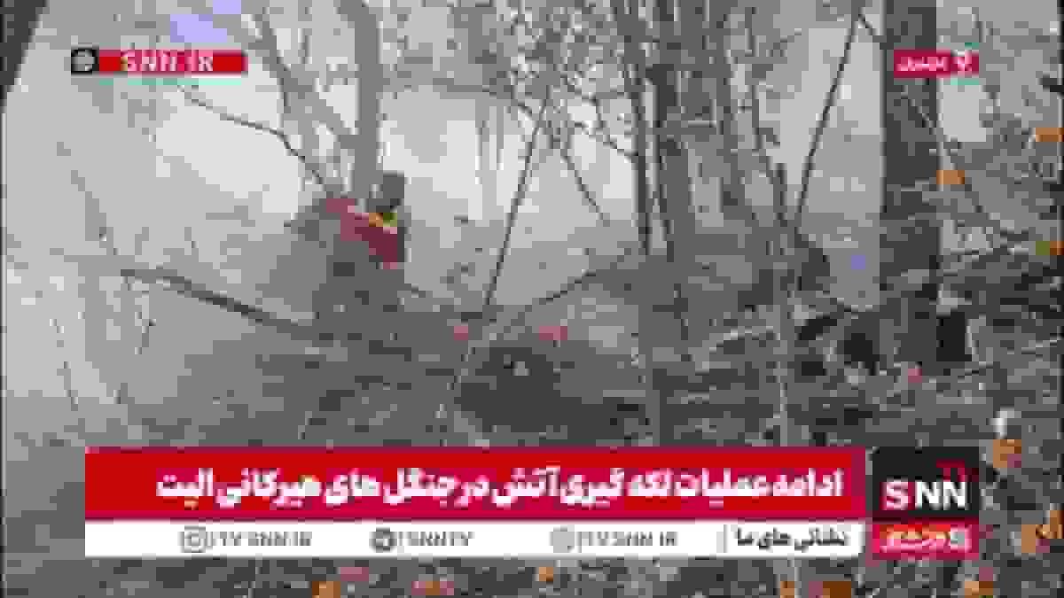 ادامه عملیات لکه‌گیری آتش در جنگل‌های هیرکانی الیت چالوس