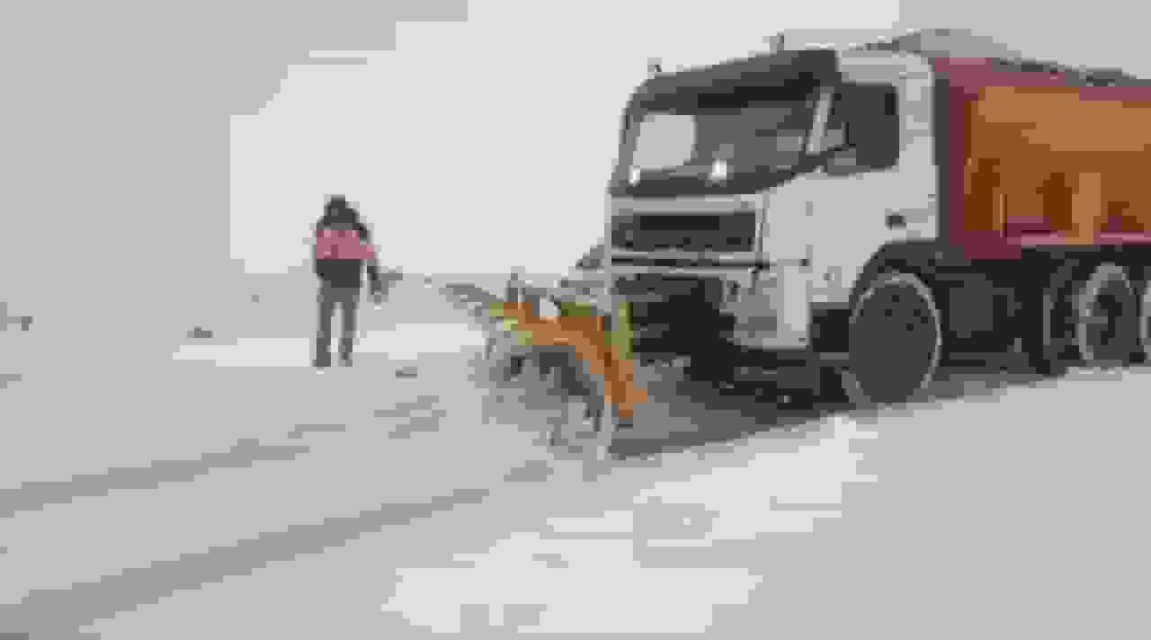 آماده‌باش ۳۸ اکیپ راهداری البرز همزمان با ورود سامانه بارشی