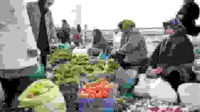 افتتاح ۵ روستابازار جدید در گلستان برای کاهش فاصله تولیدکننده و مصرف‌کننده