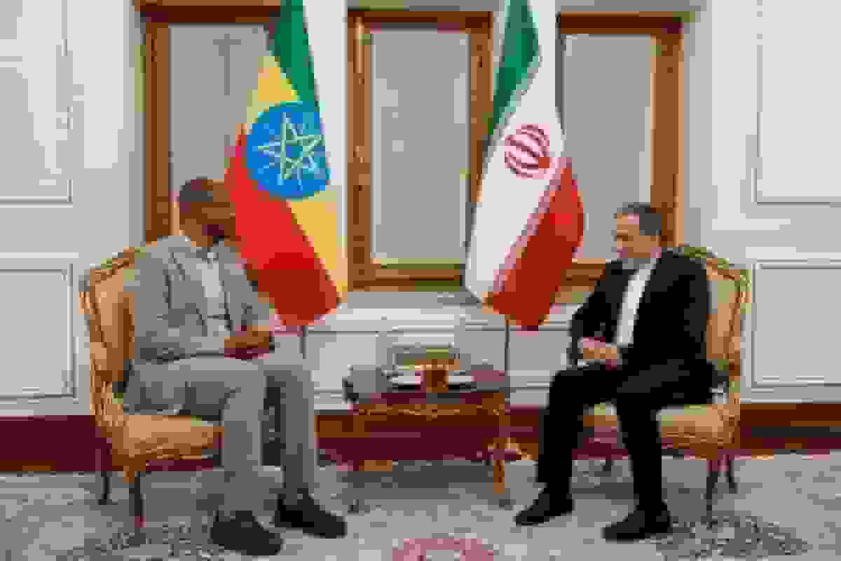 دیدار رئیس مجلس اتیوپی با عراقچی و تأکید بر روابط ۷۰ ساله ایران و اتیوپی