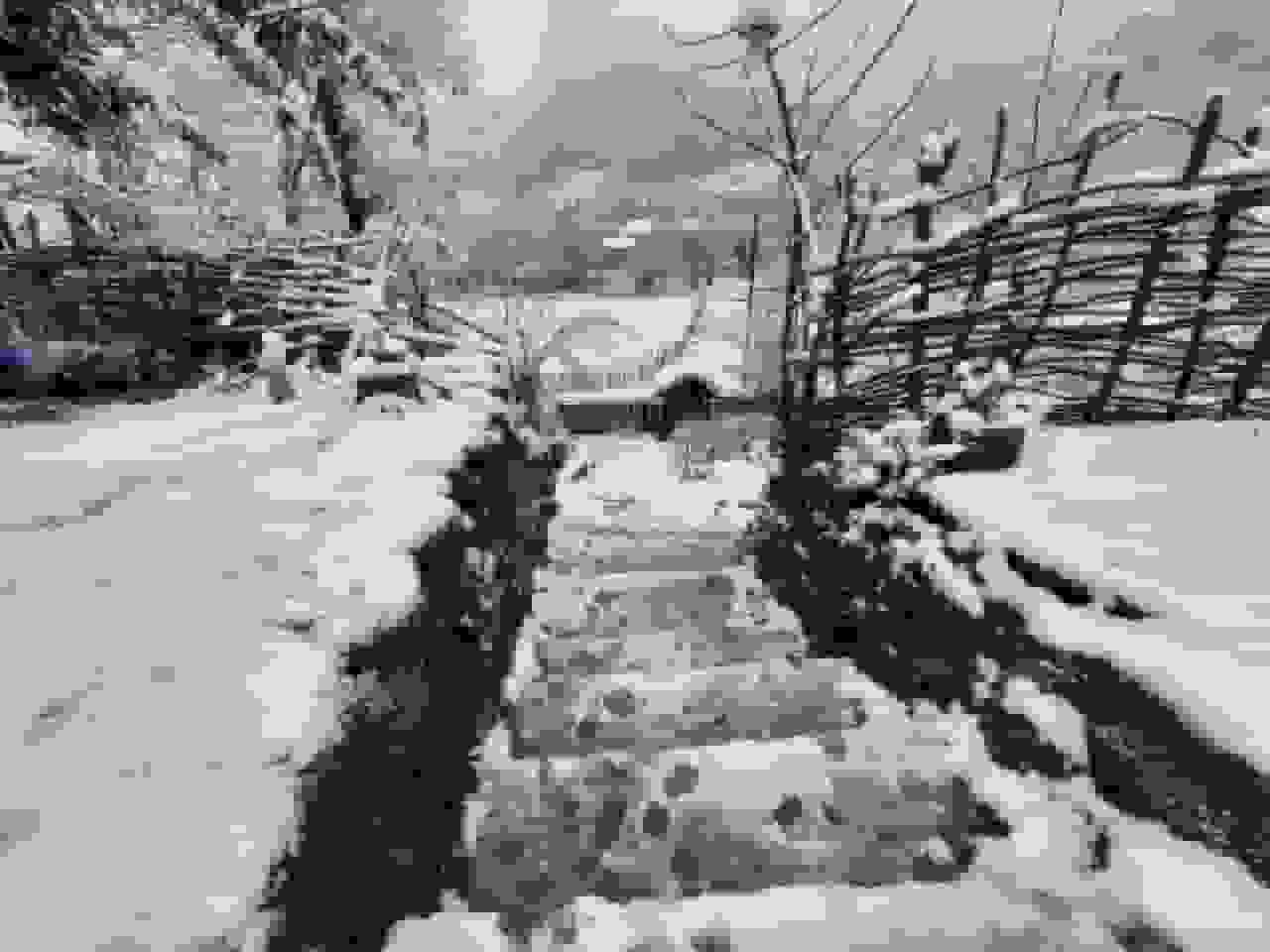 هوای گیلان تا ۱۲ درجه سرد می‌شود