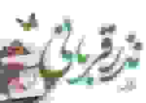 اجرای پویش نذر قربانی در کرمان با توزیع ۱۲۰۰ بسته گوشت