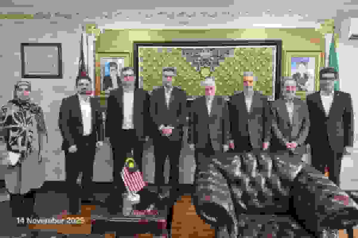 توکل‌پور: ضرورت افزایش همکاری‌های بین‌المللی دانشگاه‌های ایران با جنوب شرق آسیا