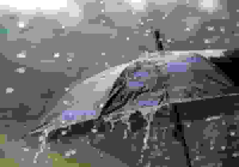 فیروزآباد در صدر بارش‌های گسترده فارس / کاهش دما پیش‌بینی می‌شود