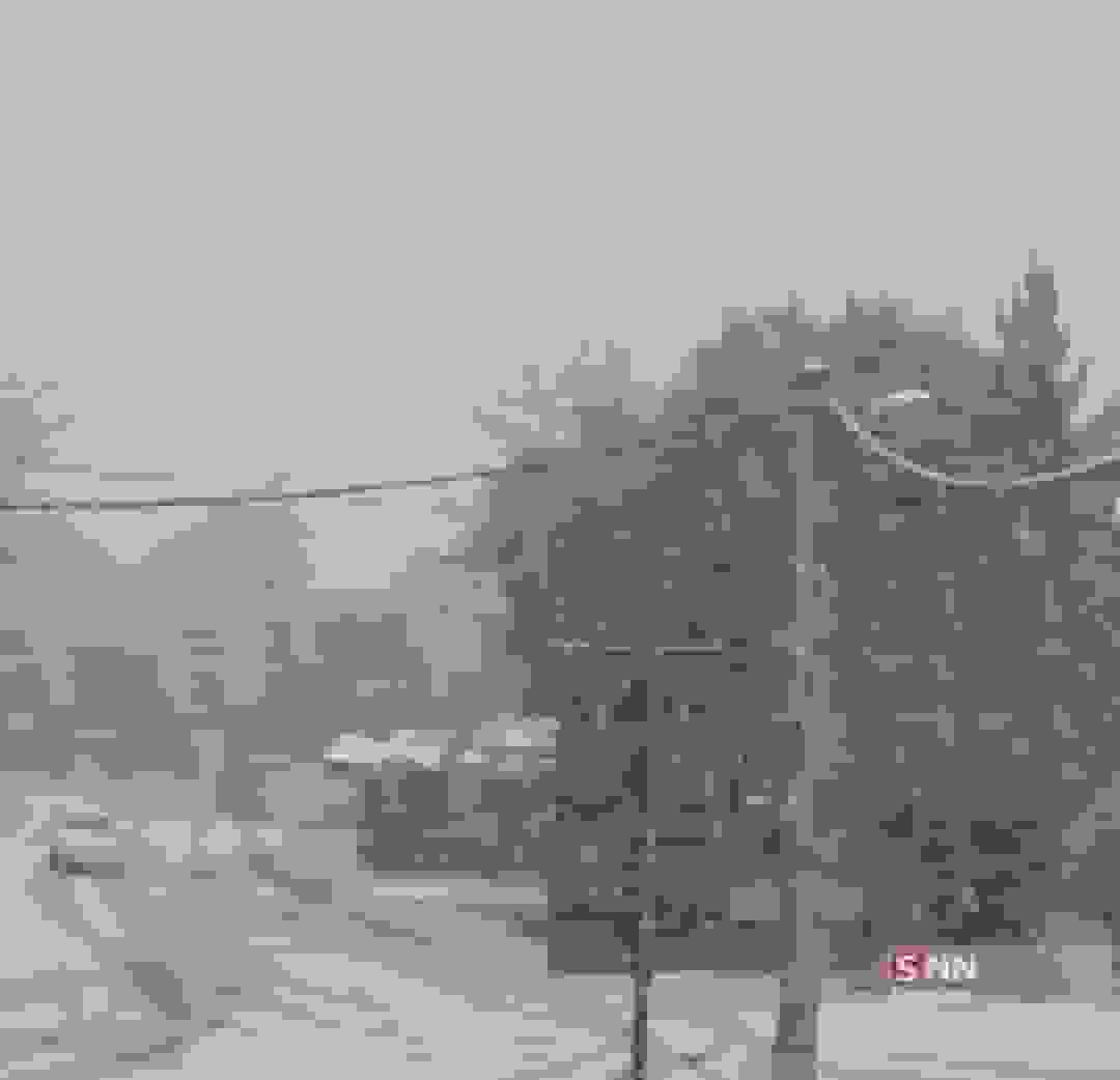 سی‌سخت سفیدپوش شد + فیلم