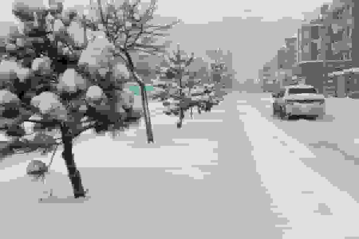 برف و باران خراسان شمالی را پوشش داد