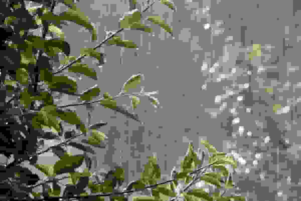 بارش‌های سنگین در هرمزگان با ثبت رکورد ۱۷۱ میلی‌متر در قشم