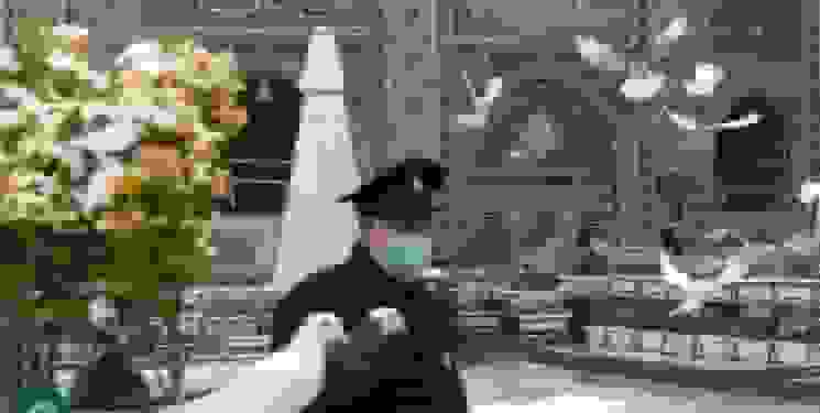 آغاز بارش مجدد برف در مشهد و شهرستان‌های خراسان رضوی