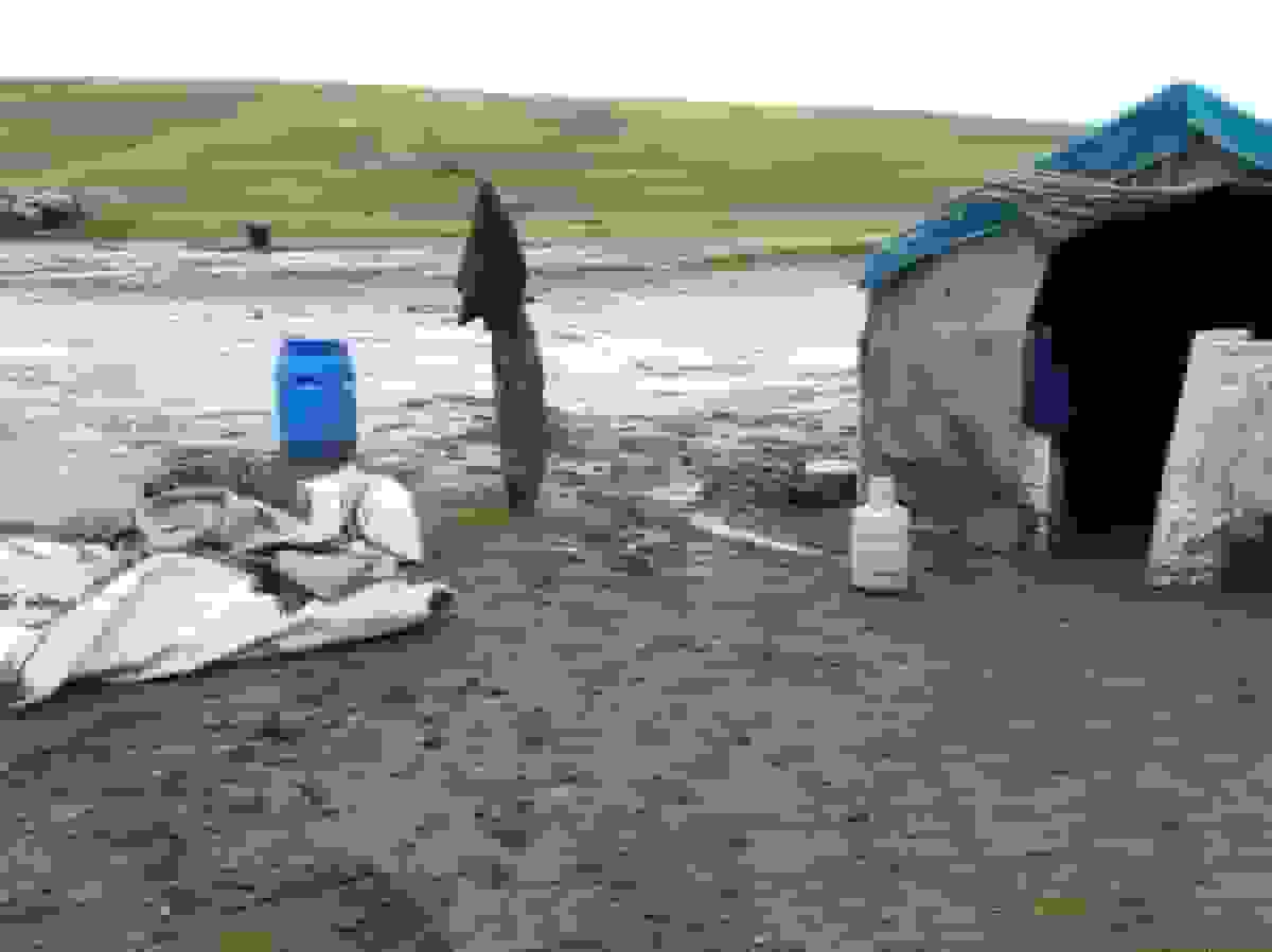 تندباد به ۵۰ سیاه‌چادر عشایری در استان ایلام خسارت وارد کرد