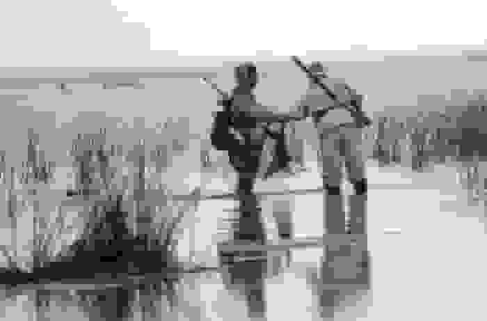 دستگیری شکارچیان غیرمجاز فلامینگو و مرغابی در خلیج گرگان