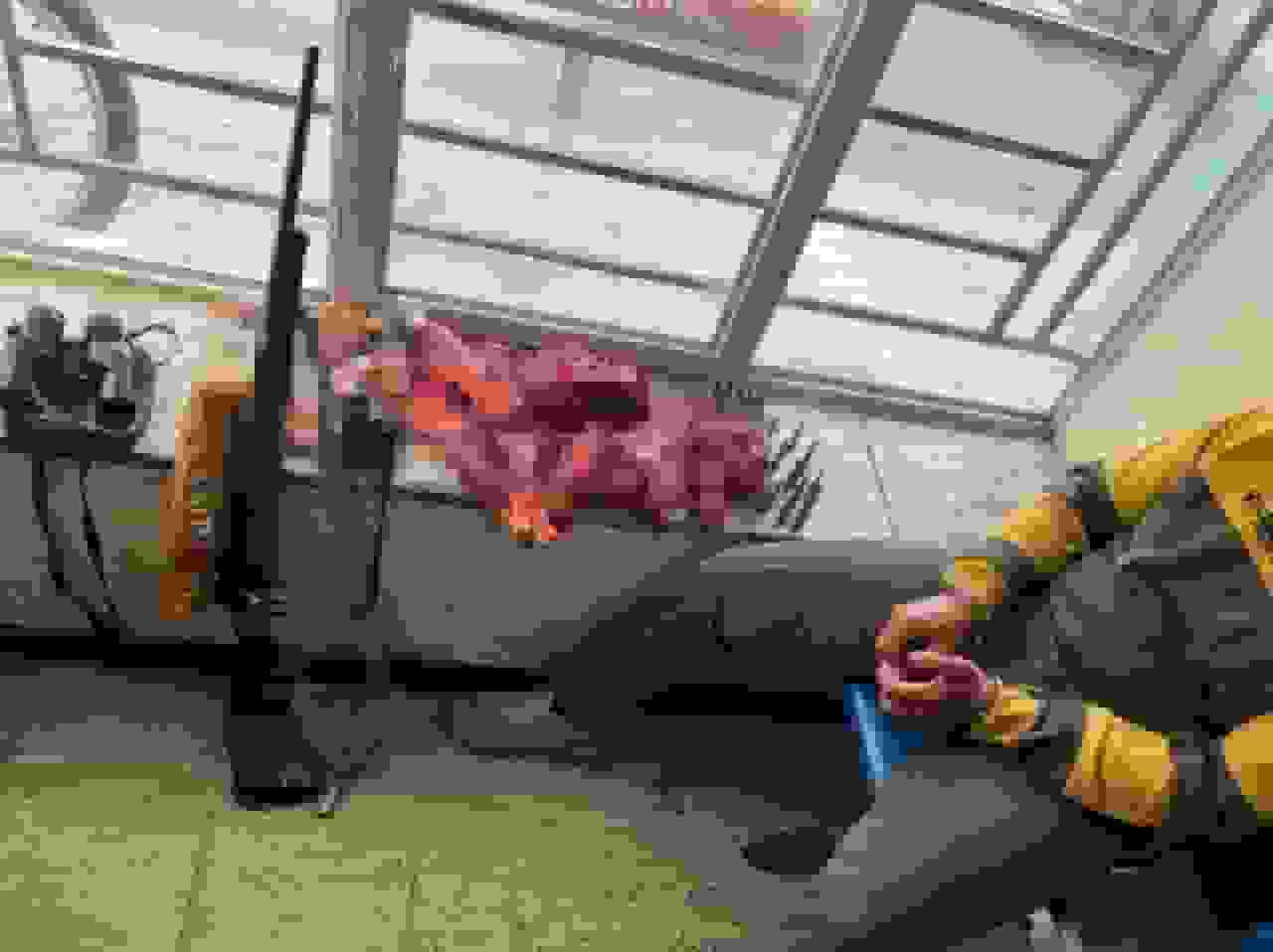 شناسایی و دستگیری چهار متخلف شکار حیاتوحش در سبزکوه