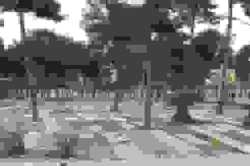 انتقاد از فروش قبرهای چندصد میلیون تومانی توسط اوقاف گرگان