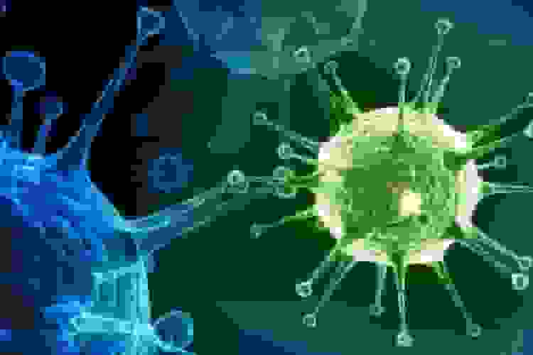 تعطیلی مدارس کرمان به دلیل شیوع آنفلوآنزا