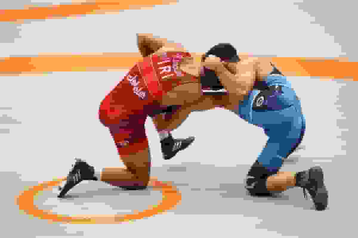 اعضای کمیته فنی انتخابی تیم ملی کشتی آزاد معرفی شدند