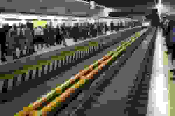 دستگیری سارق حرفه‌ای مترو با ترفند کمک در خرید بلیت