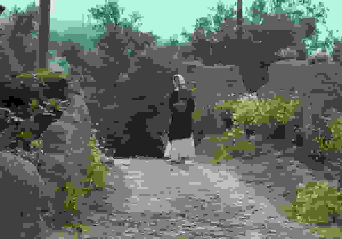 افتتاح جشنواره جهانی فیلم فجر با نمایش فیلم کیارستمی