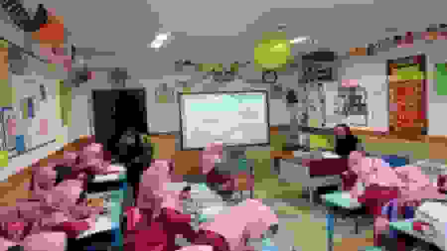 تعطیلی مدارس ابتدایی گیلان به دلیل شیوع آنفولانزا