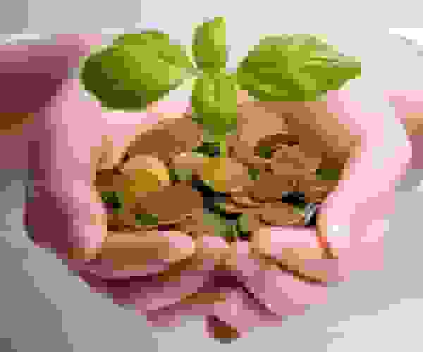 توصیه امام صادق (ع) درباره صدقه هزار برابری در روز جمعه