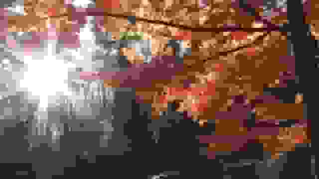 تداوم هوای پایدار پاییزی تا ۳ روز آینده در گیلان