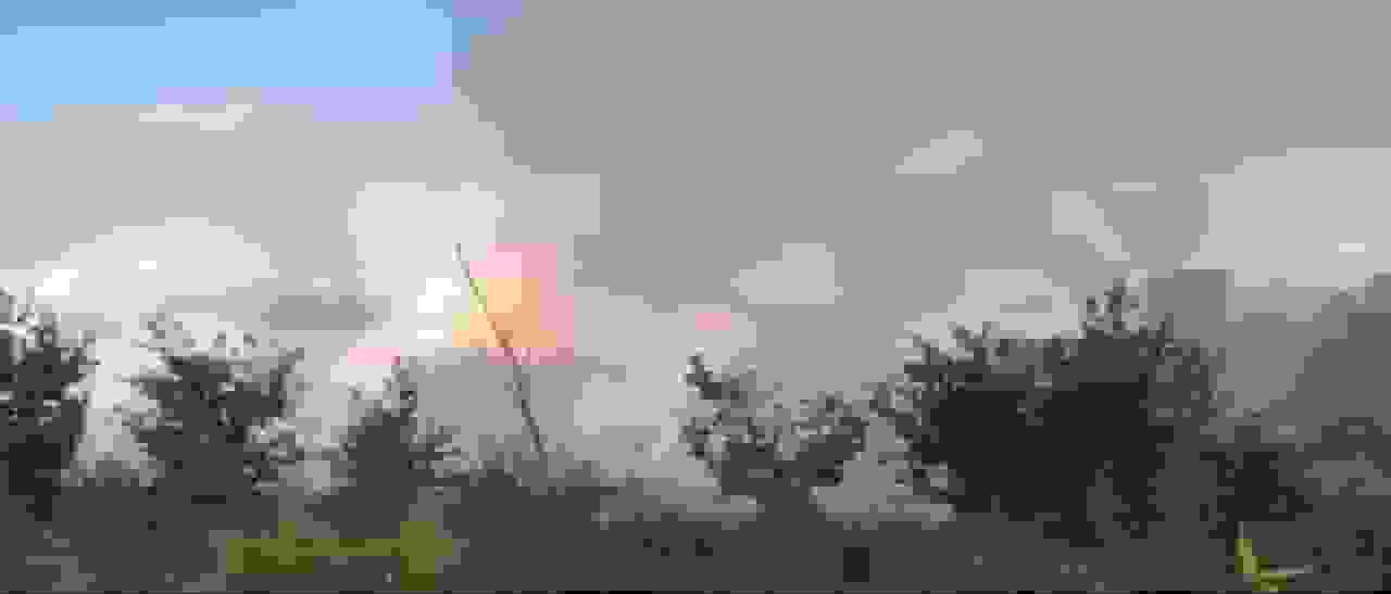 آتش‌سوزی در باغات کومله مهار شد