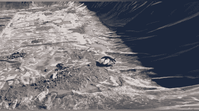 نجات دو قلاده روباه گرفتار در استخر کشاورزی میانه