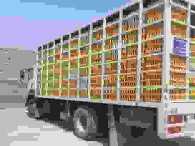 توقیف دو محموله مرغ زنده بدون مجوز در سبزوار