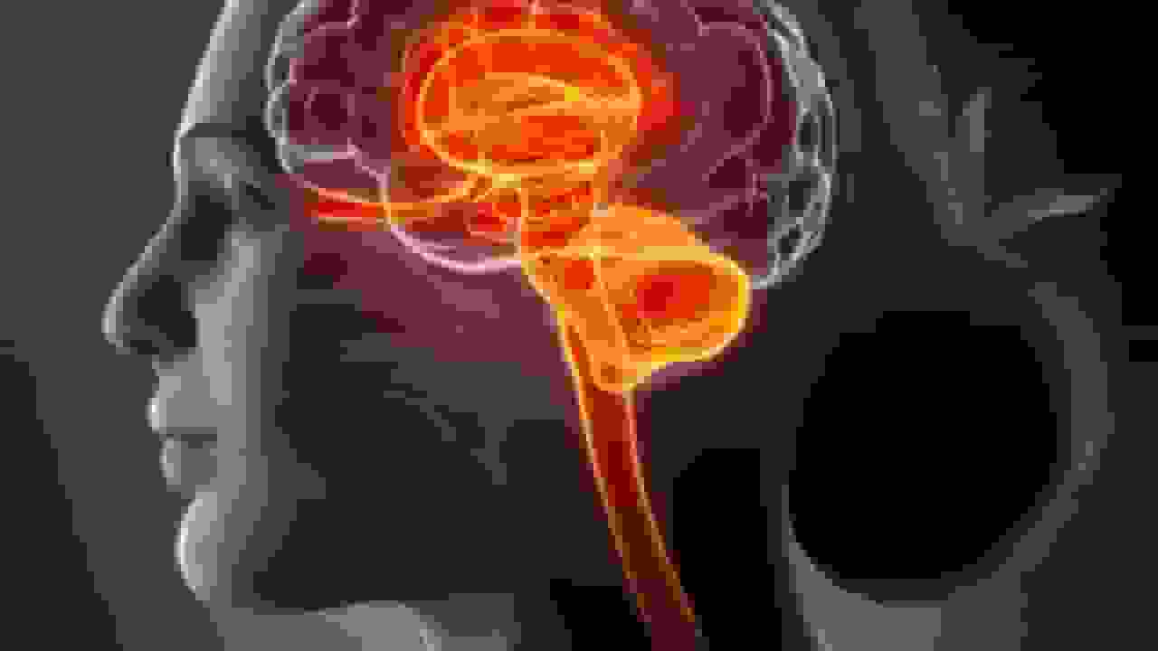 مغز چگونه برخی خاطرات را هرگز از یاد نمی‌برد؟
