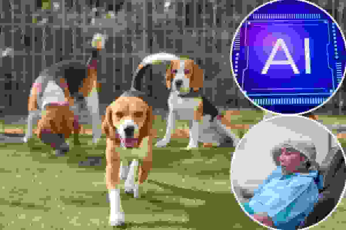 تشخیص سرطان با دقت ۹۴ درصدی با ترکیب سگ‌ها و هوش مصنوعی